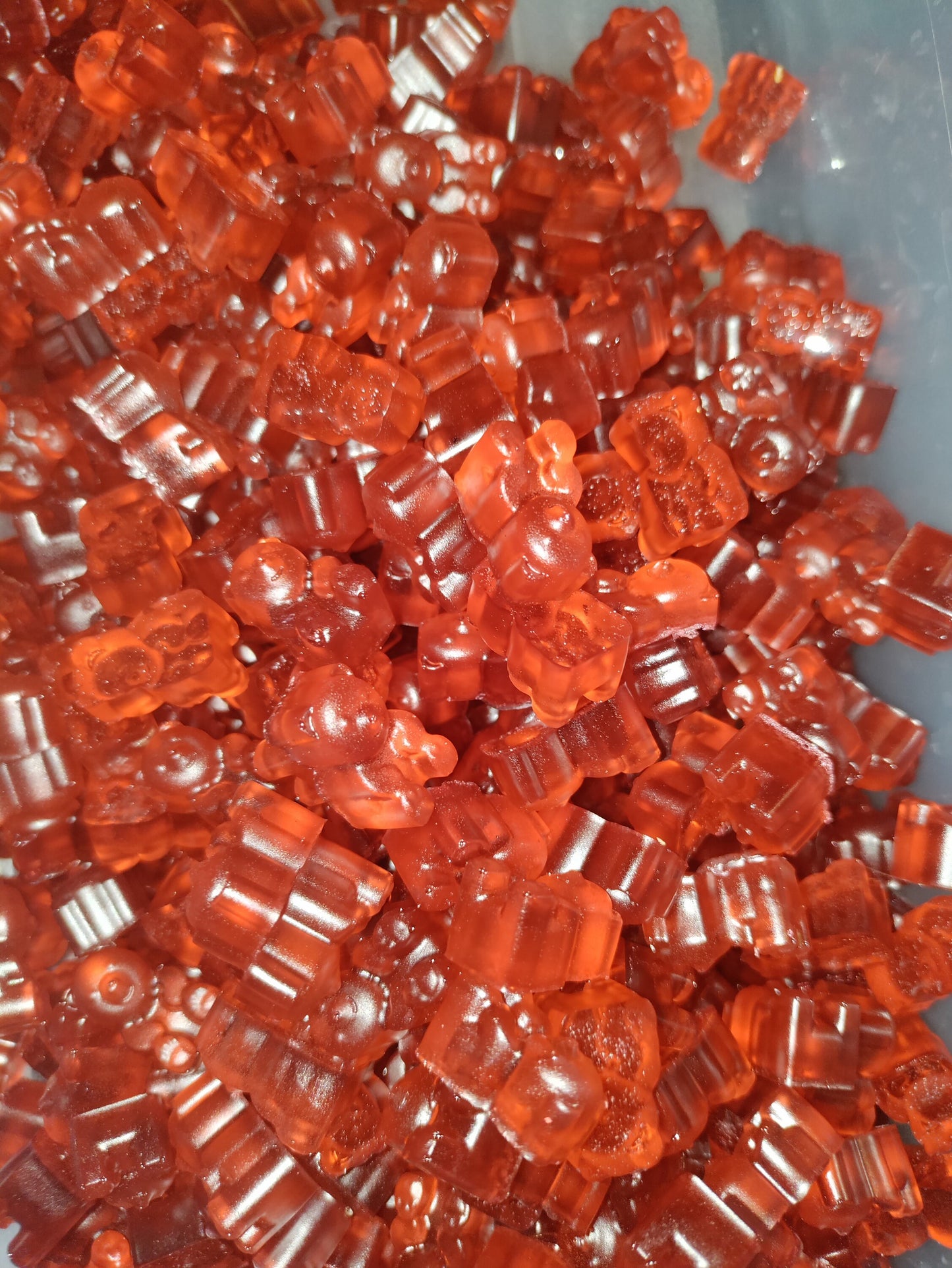 Wild Berry Pomegranate (RUM) infused Gummy Bears